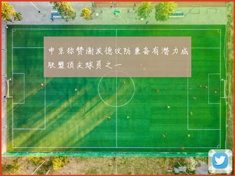 申京称赞谢泼德攻防兼备有潜力成联盟顶尖球员之一