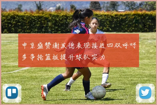 申京盛赞谢泼德表现接近四双呼吁多争抢篮板提升球队实力