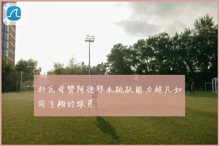 科瓦奇赞阿德耶米跳跃能力超凡如同飞翔的球员