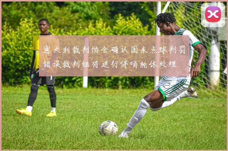 意大利裁判协会确认国米点球判罚错误裁判组将进行停哨轮休处理