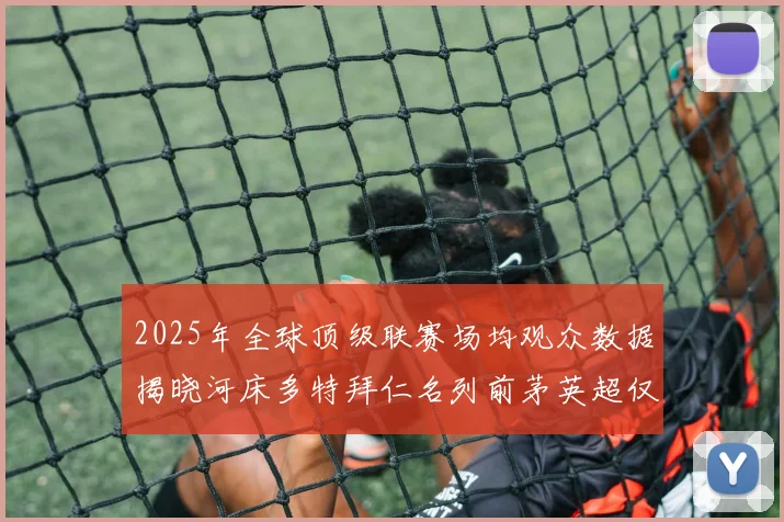 2025年全球顶级联赛场均观众数据揭晓河床多特拜仁名列前茅英超仅排第20位