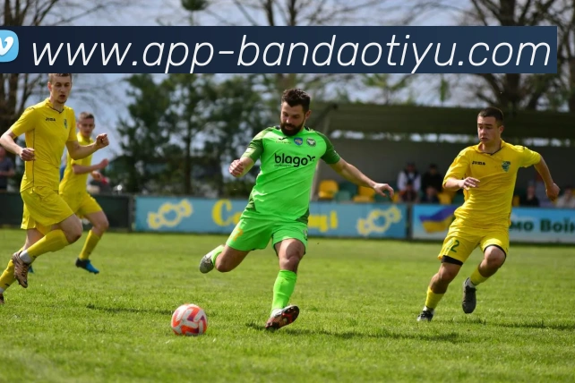 半岛体育平台生态图