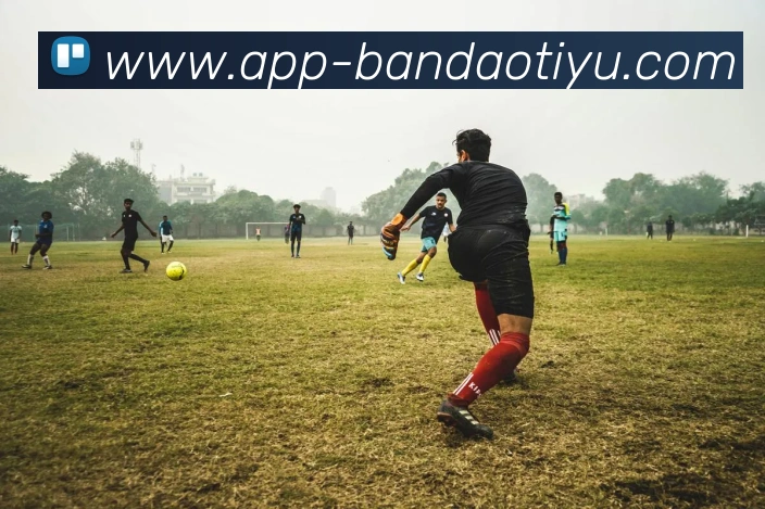 半岛体育全站App